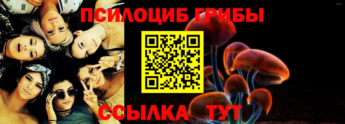 Галлюциногенные грибы Psilocybe  Псилоцибиновые грибы Magic Shrooms  Вход с VPN  Ижевск 